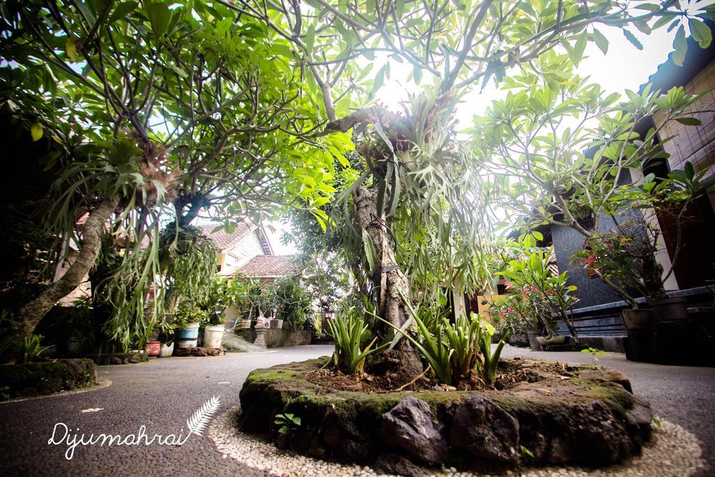 Dijumahrai Homestay أوبود المظهر الخارجي الصورة